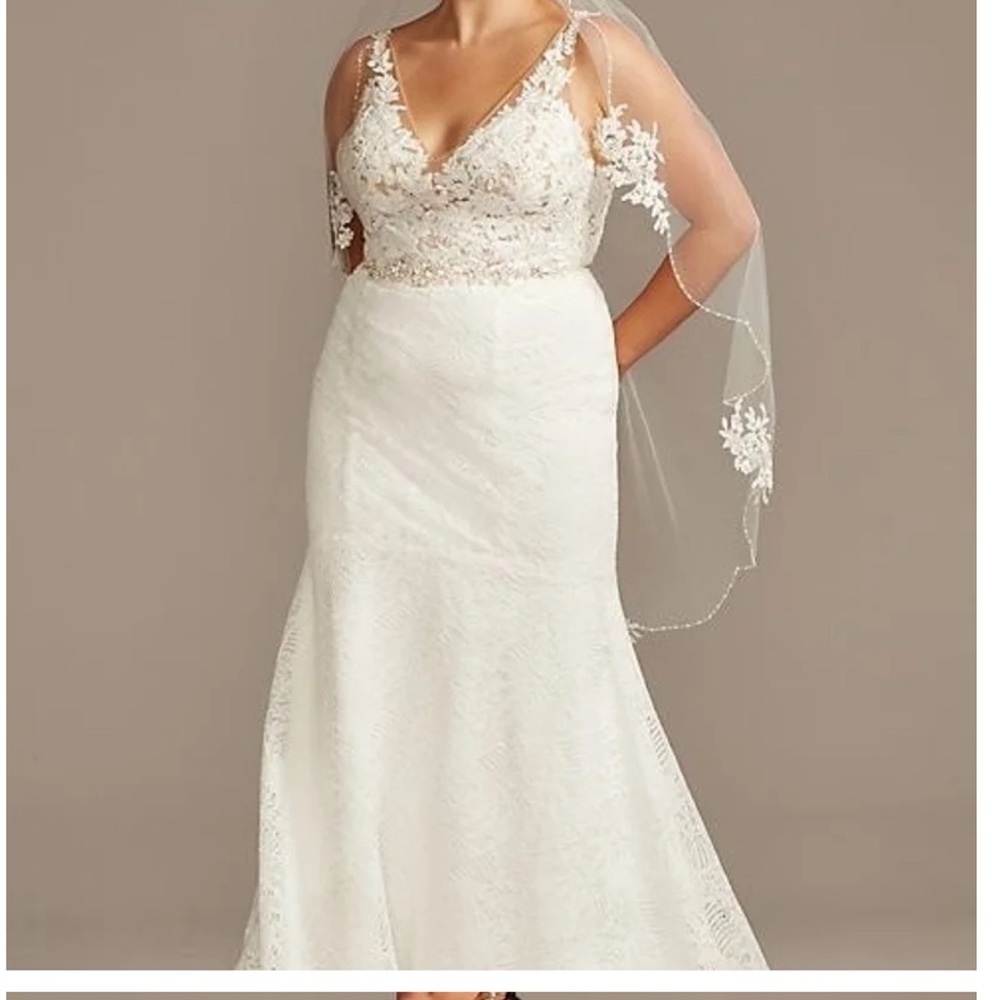 Melissa Sweet David’s bridal 16W dress